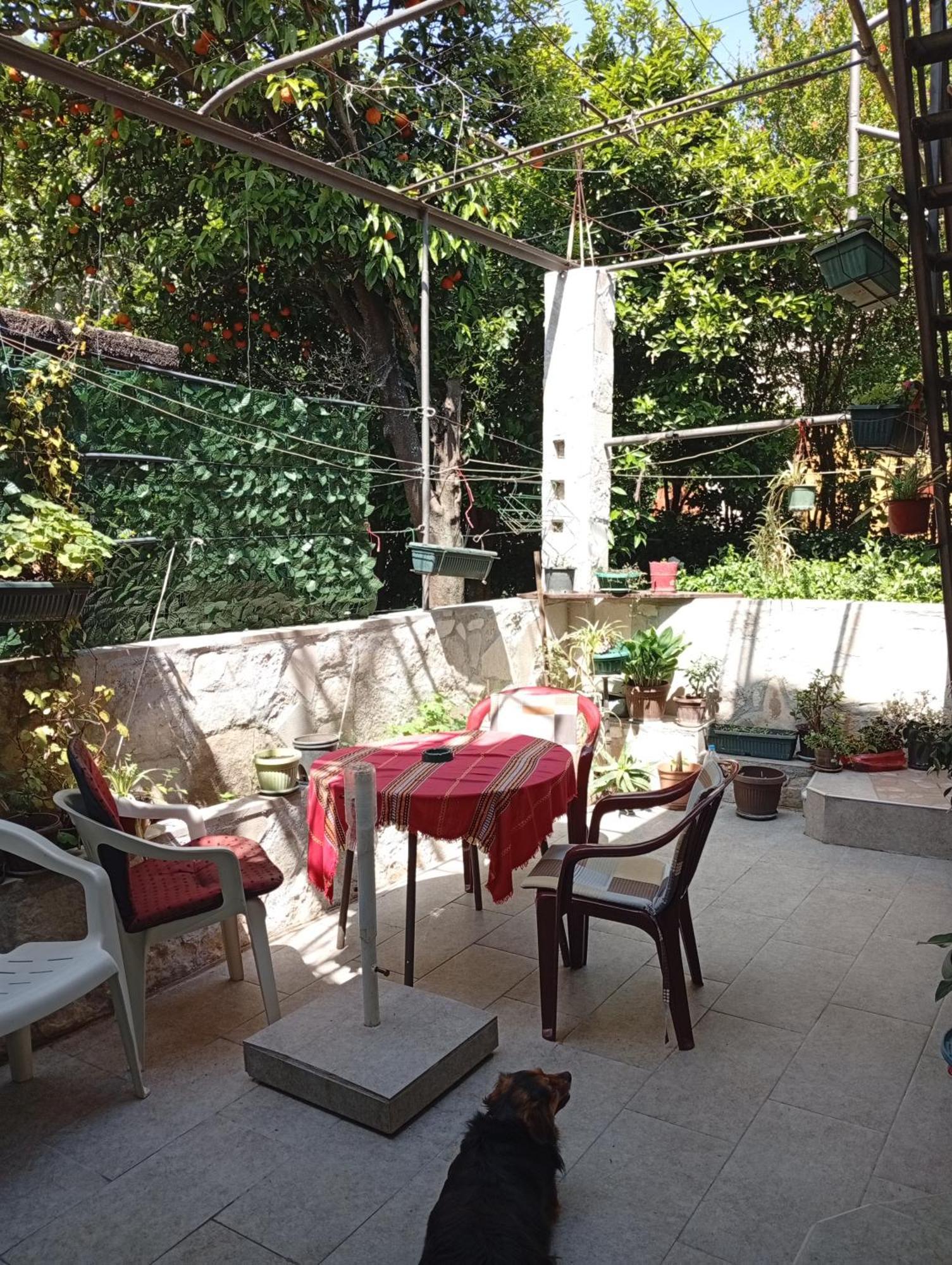 Apartment Radovic Kotor Buitenkant foto